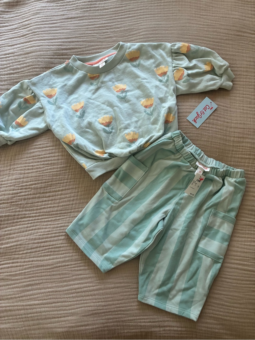 Cat & Jack aqua sweat set